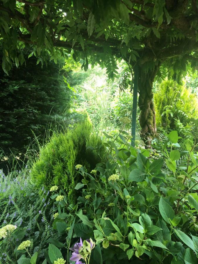 Lo'Gite L'Allee Du Val Lalaye المظهر الخارجي الصورة