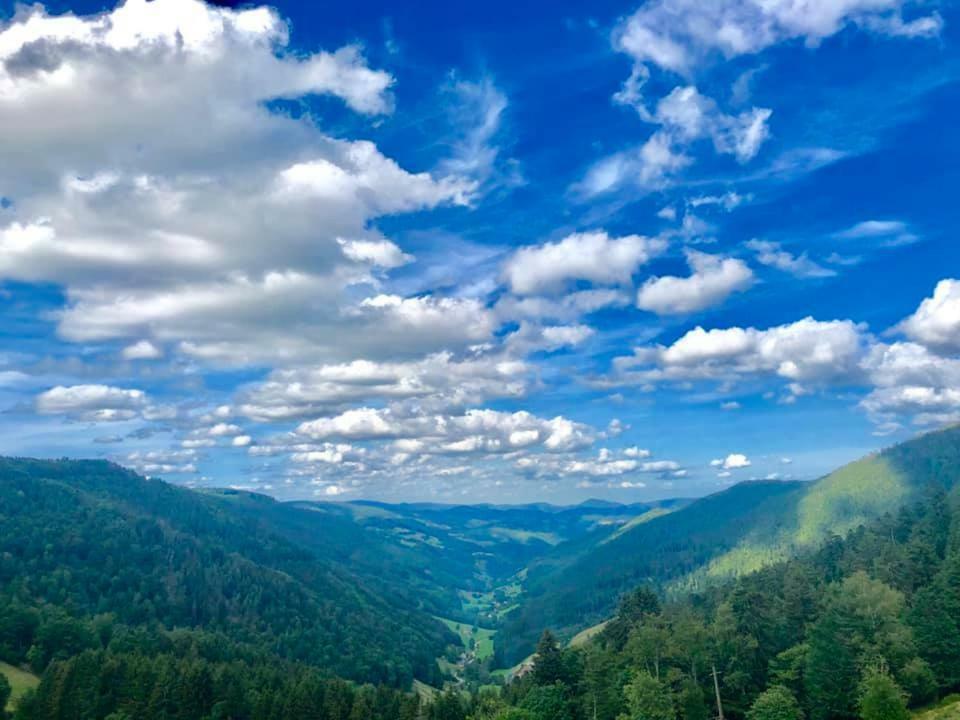 Lo'Gite L'Allee Du Val Lalaye المظهر الخارجي الصورة