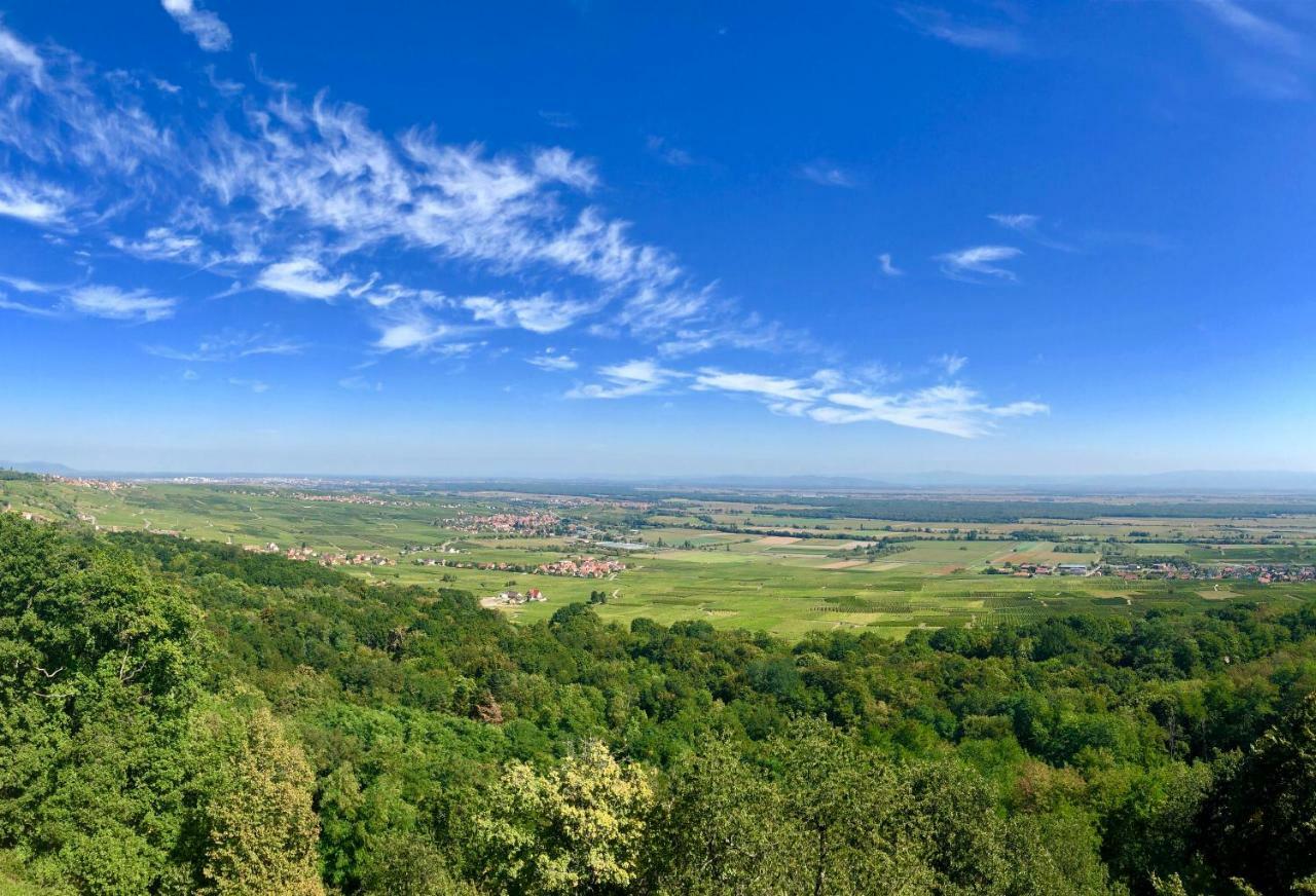 Lo'Gite L'Allee Du Val Lalaye المظهر الخارجي الصورة